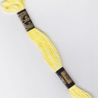 DMC Κλωστή Κεντήματος Μουλινέ 117 Βαμβακερή 104